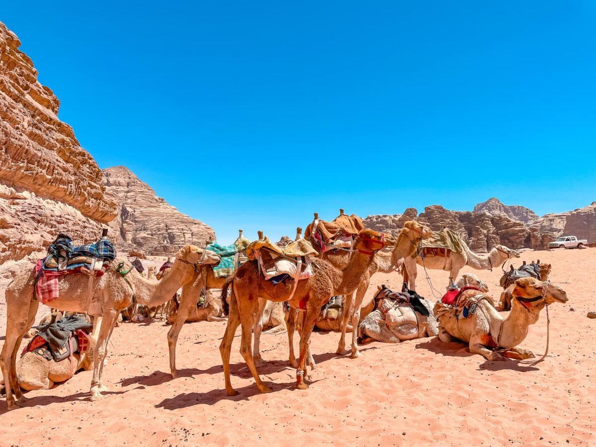 Rum Jordan Camp And Tours Wadi Rum Buitenkant foto